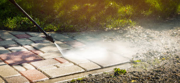 Best Patio and Deck Pressure Washing  in Elkridge, MD